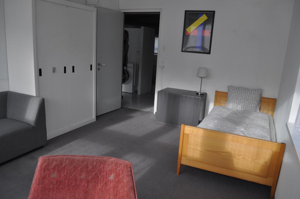 Loft Ar Apartment Buhler Bagian luar foto