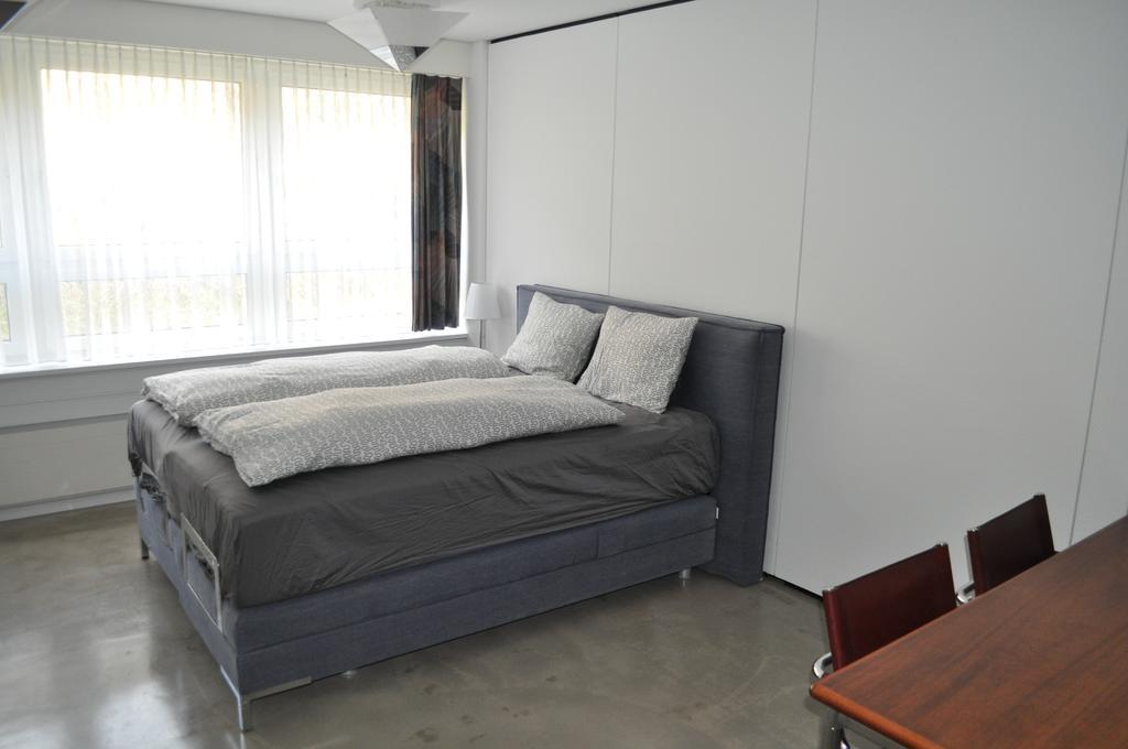Loft Ar Apartment Buhler Bagian luar foto